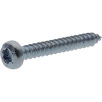 Savisriegis varžtas Torx 2.9x19 mm 7981C2919TX100