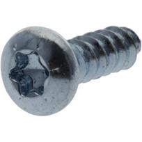 Savisriegis varžtas Torx 2.9x9.5 mm 7981C2995TX100