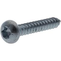 Savisriegis varžtas Torx 3.9x19 mm 7981C3919TX100