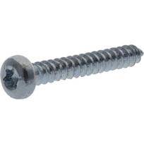 Savisriegis varžtas Torx 3.9x22 mm 7981C3922TX100