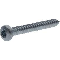 Savisriegis varžtas Torx 3.9x32 mm 7981C3932TX100