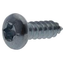Savisriegis varžtas Torx 4.2x19 mm 7981C4219TX100