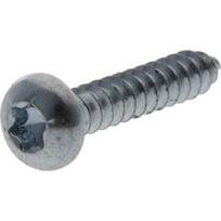Savisriegis varžtas Torx 4.2x25 mm 7981C4225TX100