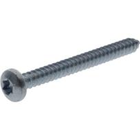 Savisriegis varžtas Torx 4.2x50 mm 7981C4250TX100