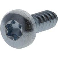 Savisriegis varžtas Torx 4.8x13 mm 7981C4813TX100