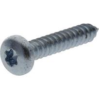 Savisriegis varžtas Torx 4.8x25 mm 7981C4825TX100