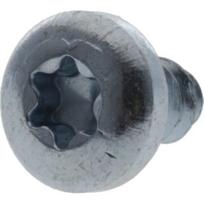 Savisriegis varžtas Torx 5.5x13 mm 7981C5513TX100