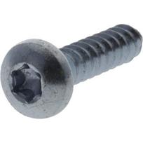 Savisriegis varžtas Torx 5.5x22 mm 7981C5522TX100