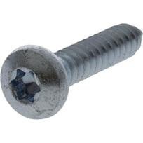 Savisriegis varžtas Torx 6.3x32 mm 7981C6332TX100