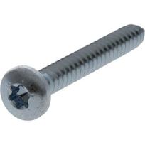 Savisriegis varžtas Torx 6.3x45 mm 7981C6345TX100