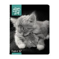 Sąsiuvinis Bruno Visconti A5, Kittens Mur, 5×5 langeliais, 48 lapų