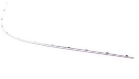 Mercedes Benz CLK 220 CDI W209 Schiene Rail Originalus A2098850521