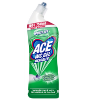 Gelinis tualeto valiklis ACE DESCALER, 750 ml