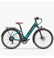 Elektrinis dviratis FIIDO C11 PRO 250W 17,5KG 80KM