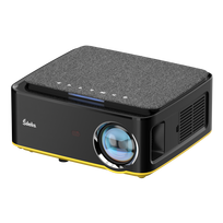 LED Projector Šilelis P-4