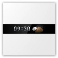 Aqara Display Switch V1