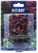 HOBBY Dirbtinė akvariumo augalo dekoracija 7 cm