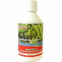 Femanga Drebulės ekstraktas 250 ml
