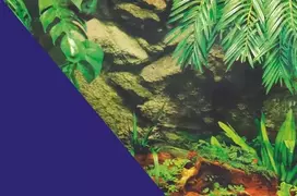 Zolux Dvipusis akvariumo fonas „Mėlyna palmė“
