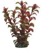 HOBBY Dirbtinė akvariumo augalų dekoracija „Rotala“
