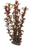 HOBBY Dirbtinė akvariumo augalų dekoracija „Rotala“, 30 cm