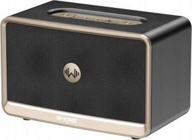 W-King H330 Wireless Bluetooth Speaker – Black