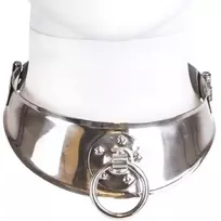 METAL HARD METAL HARD Stainless Steel Restraint Collar with Ring, 12.5cm, Chrome Finish
