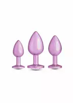 NS NOVELTIES NS Novelties Trainer Kit Iridescent Pink 3-Piece Set Chrome Finish