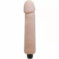 BAILE VIBRATORS BAILE - LOVE COMPANION DILDO VIBRATOR 25 CM