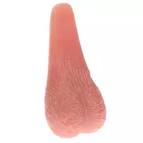 S-Line by Shots Dickheads Ball-Shaped Flexible Door Stopper, Large, Durable Material