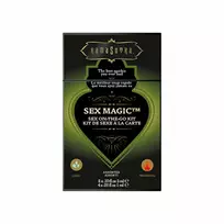 KamaSutra Kama Sutra Sex-To-Go Kit Sex Magic - Compact Intimate Travel Set