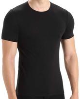 Carruzzo Icebreaker Mens Anatomica SS Crewe
