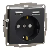 Kištukinis lizdas su įžeminimu Schneider Electric Sedna Design SDD114052 (antracitas, 2xUSB-A)