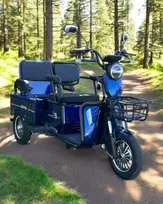 Elektrinis krovininis/keleivinis triratis motoroleris SL-01 1000W 32Ah 60V