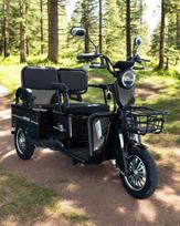 Elektrinis krovininis/keleivinis triratis motoroleris SL-01 1000W 32Ah 60V