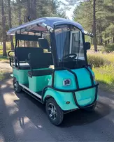 Elektrinis šešiavietis keturratis motoroleris su stogu FL-06-7 1000W 45Ah 60V