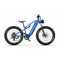DUOTTS E26 elektrinis dviratis (26") 750W Bafang variklis  48V 20Ah