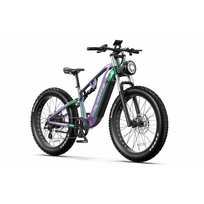 DUOTTS E26 elektrinis dviratis (26") 750W Bafang variklis  48V 20Ah