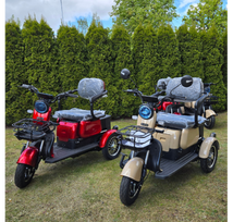Elektrinis triratis RIDE-E M20R PRO 1000W 20Ah 60V