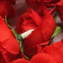50pcs Blue White Red Bulk Silk Flower Accessory Rose Decorative Simulation Rose  Home Interior raudona