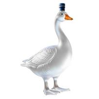 Žąsies formos stiklinis ąsotis, 3D skulptūrinė viskio butelis su kamšteliu, 350 ml Art Deco grafinas bourbonui, vynui, namų baro dekoracija, dovana