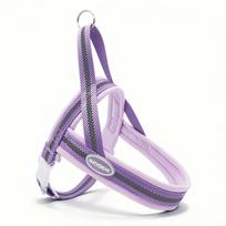 Soft Padded No Pull Dog Harness Anti-lost Comfortable Adjustable Step-in Dog Chest Strap with Leash Luxury Pet Travel Essentials (as the picture,S)