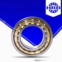 HRB NJ304EM Cylindrical Roller Bearing