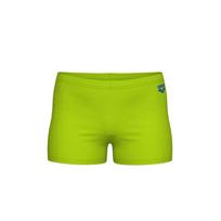 Arena Plaukimo Kostiumai Berniukų Dynamo Jr Šortai Artic Lime Blue Kinija 006501/306 140 (10-11)