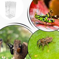 Jumping Spider Habitat Small Reptile Habitat for Mantis Frog Full Transparency Terrarium Secure Mantises Feeding Enclosure CN