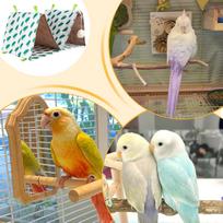 Parakeet Bed Double Cave Parrot Nest Triangle Breathable Parakeet Rest Bed For Breeding Sleeping Enrichment Play Window Outdoor CN