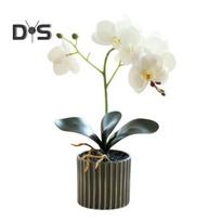 Dirbtinis vazoninis augalas Dirbtinis kandžių orchidėjų bonsas Staliniam kompiuteriui Dirbtiniai vazoniniai Phalaenopsis žiedai namų valgomojo stalui, biuro stalui dekoruoti balta