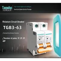 Tengen TGBG-63DC DC miniatiūrinis automatinis jungiklis