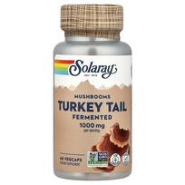 Solaray Fermented Turkey Tail Mushroom 1000mg Veggie Capsules, 60 Count 60 pcs - 1 ea