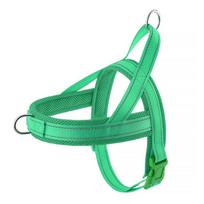 Adjustable Soft No Pull Dog Harness Durable Reflective Nylon Outdoor Walking Pet Vest Harness for Small Medium Dog Harnais Chien (Green,XXS) žalia